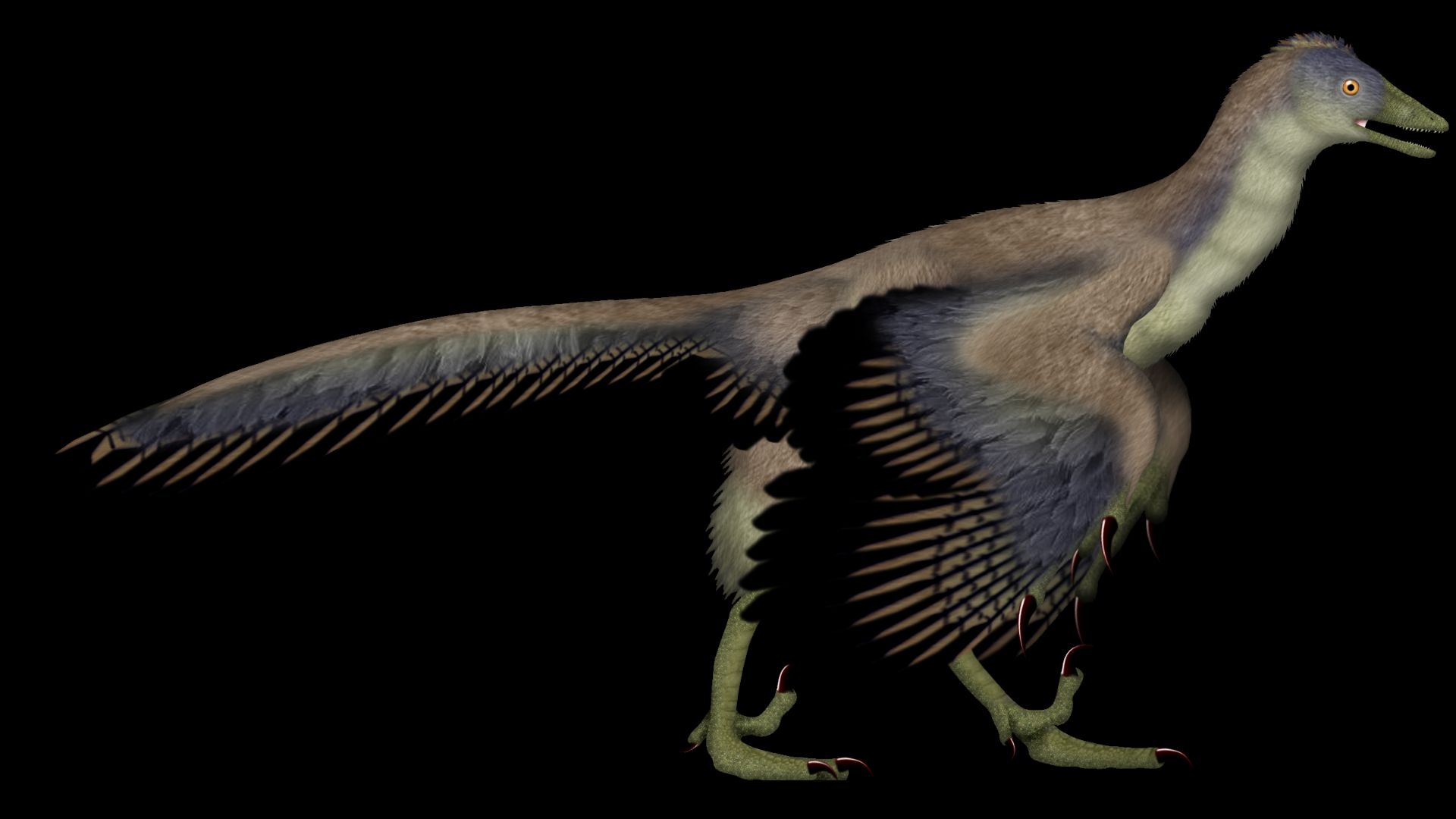 Between the late 19th century and the early 21st century, Archaeopteryx was generally accepted by paleontologists as the oldest known bird. Archaeopteryx lived in the Late Jurassic around 150 million years ago, in what is now southern Germany. The largest