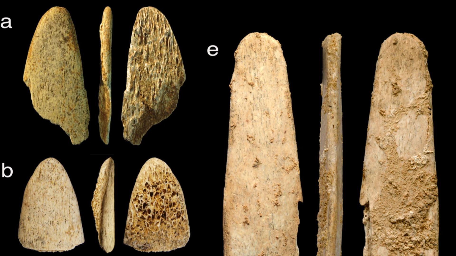 Bone tools used by Neanderthals