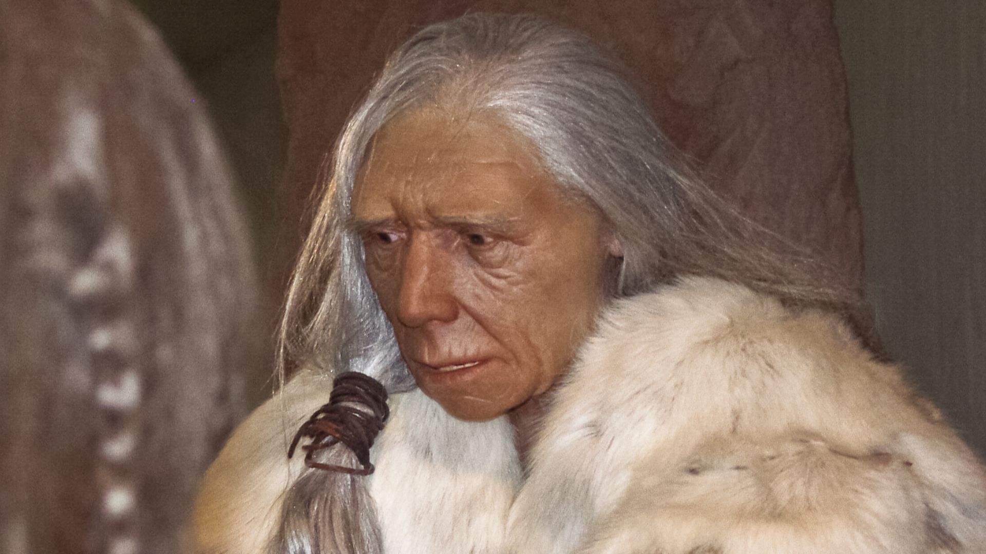 Figürliche Darstellung einer alten Neandertaler-Frau im Neandertal-Museum, Erkrath