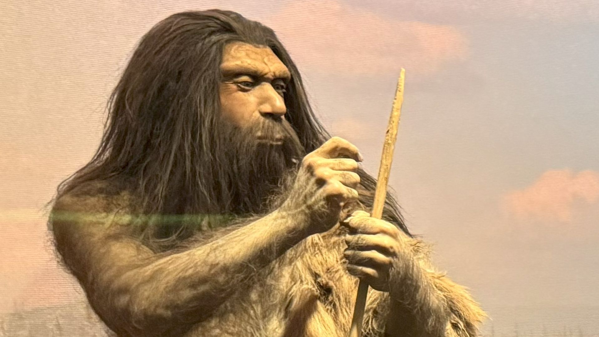 Neanderthals diorama at American Museum of Natural History