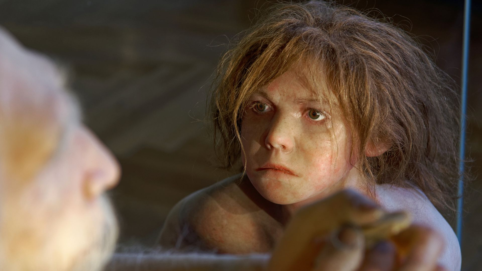 Model of Homo neanderthalensis child in The Natural History Museum, Vienna