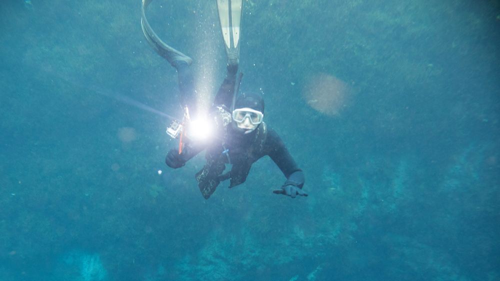 Diver with flashlight