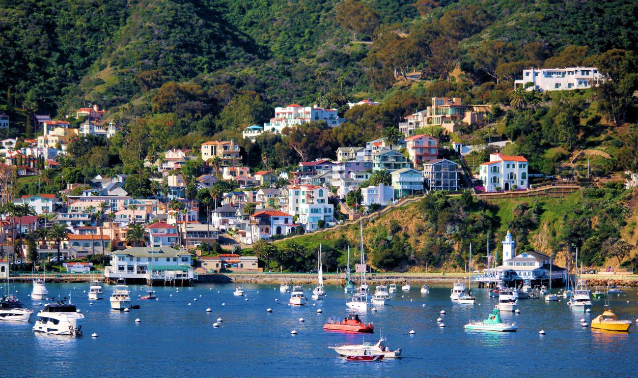January 30, 2026 in Avalon, Catalina Island, CA:  Buildings and homes on a hillside slope overlooking anchored boats on the harbor taken in Avalon, Catalina Island where people can walk on the waterfront with views of boats on the harbor and the fishing pier at this quaint island community 