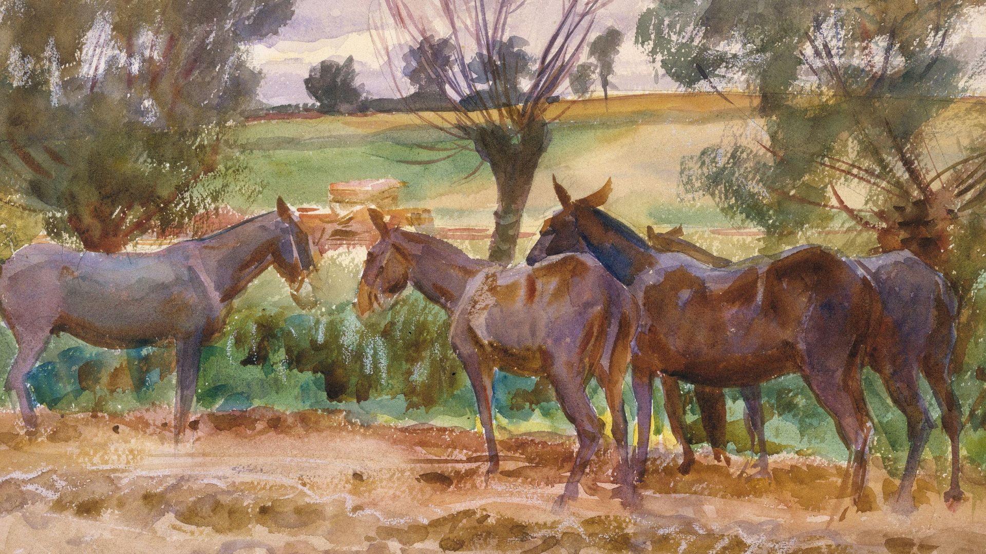 Several donkeys standing in a field with trees