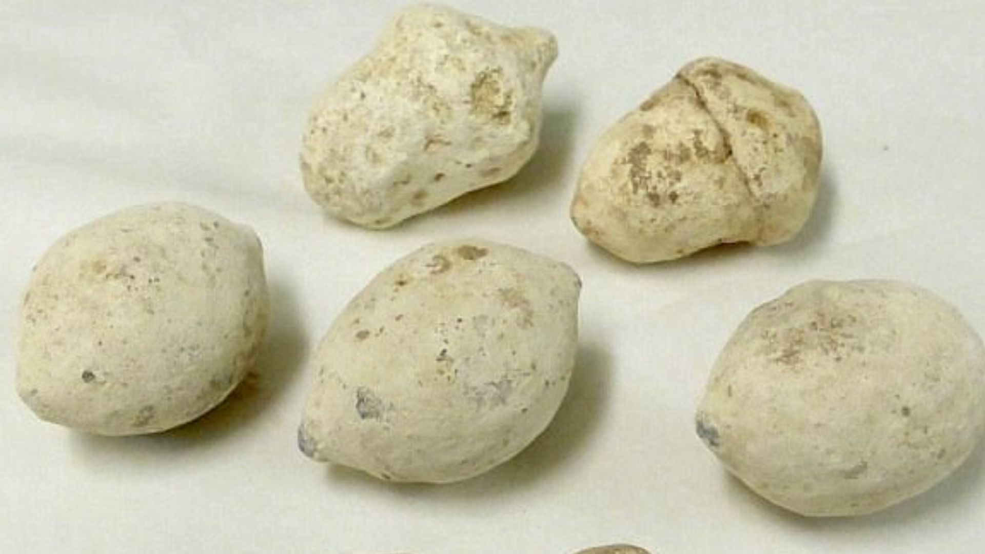 Some of many Roman bullets found at Burnswark Hillfort in Dumfriesshire, Scotland during the archaeological work carried out during the 'Burnswark Project', 2015-17 by The Trimontium Trust. The image shows three distinct morphologies of lead bullets: lemo