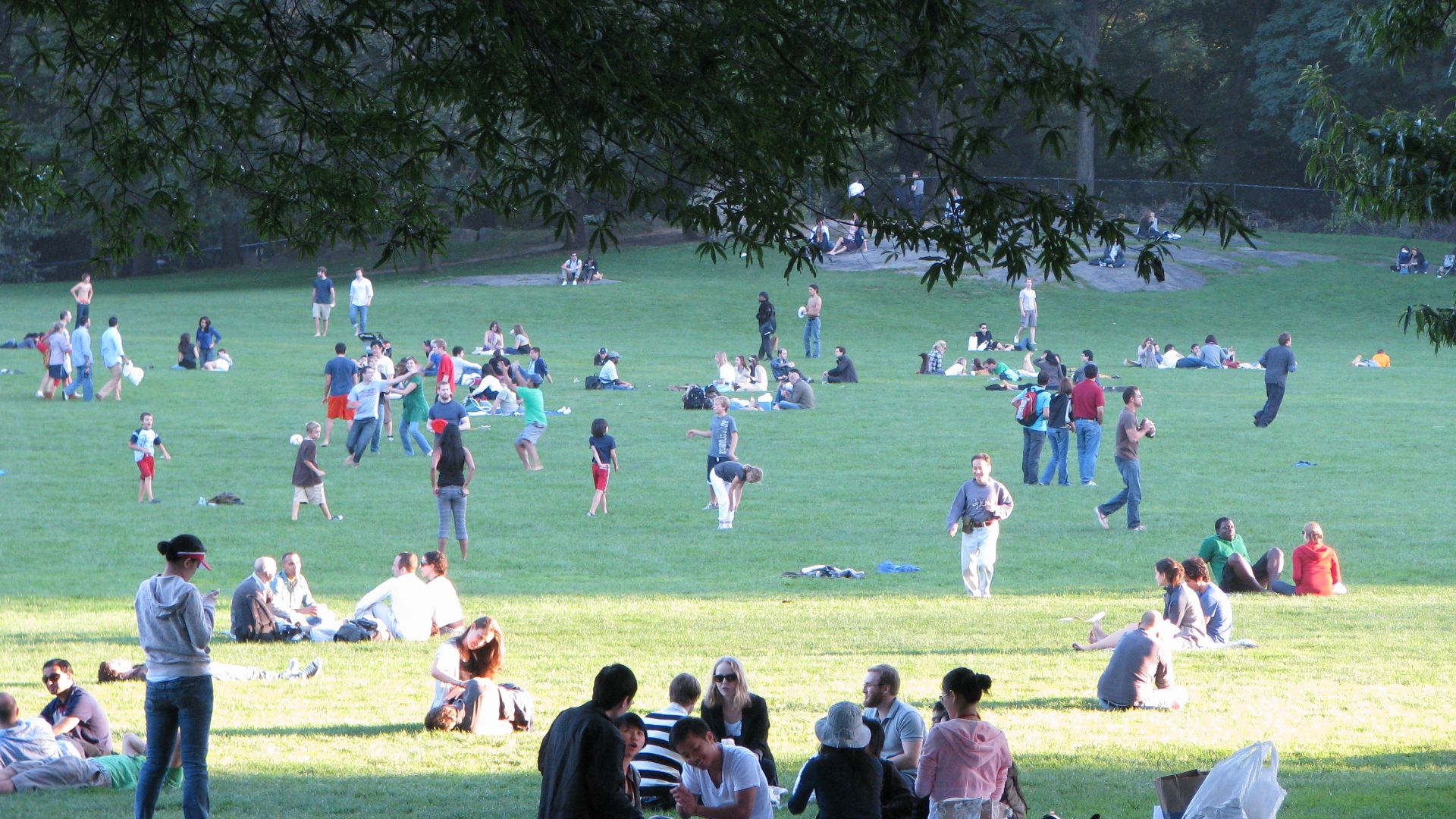 Central park(New York)