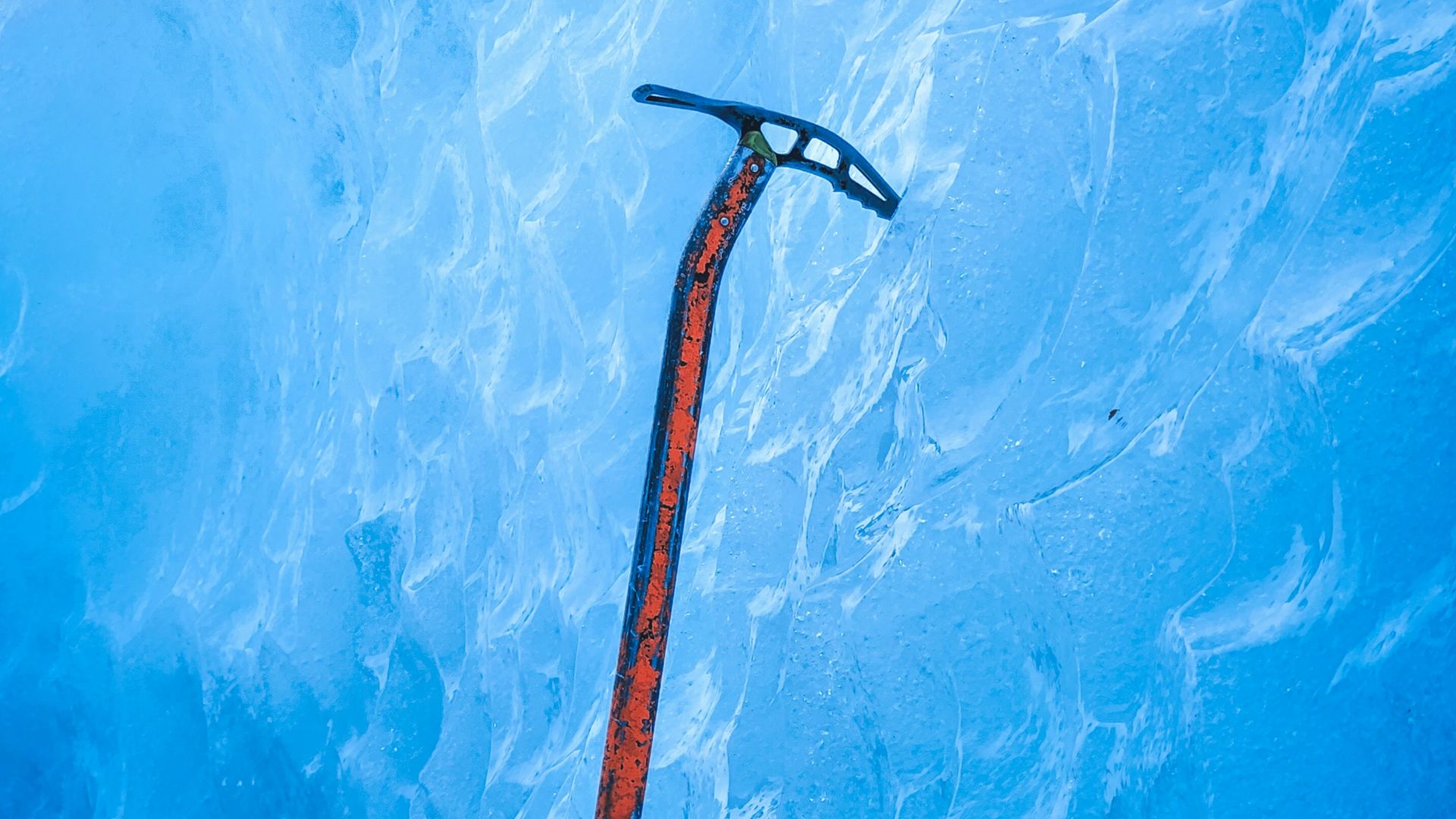 a swordfish in the water