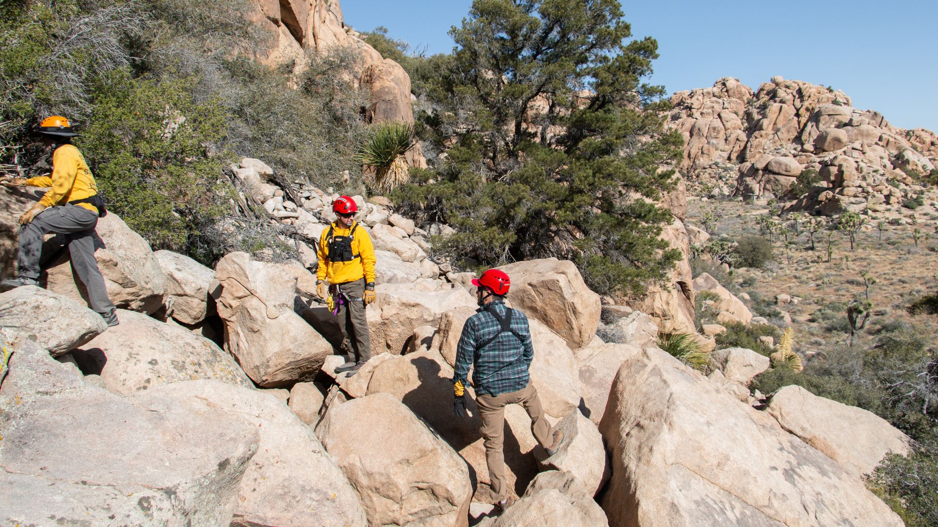 NPS/ Paul Martinez
Alt text: Three search and rescue members on pile of boulders with desert landscape in the background.