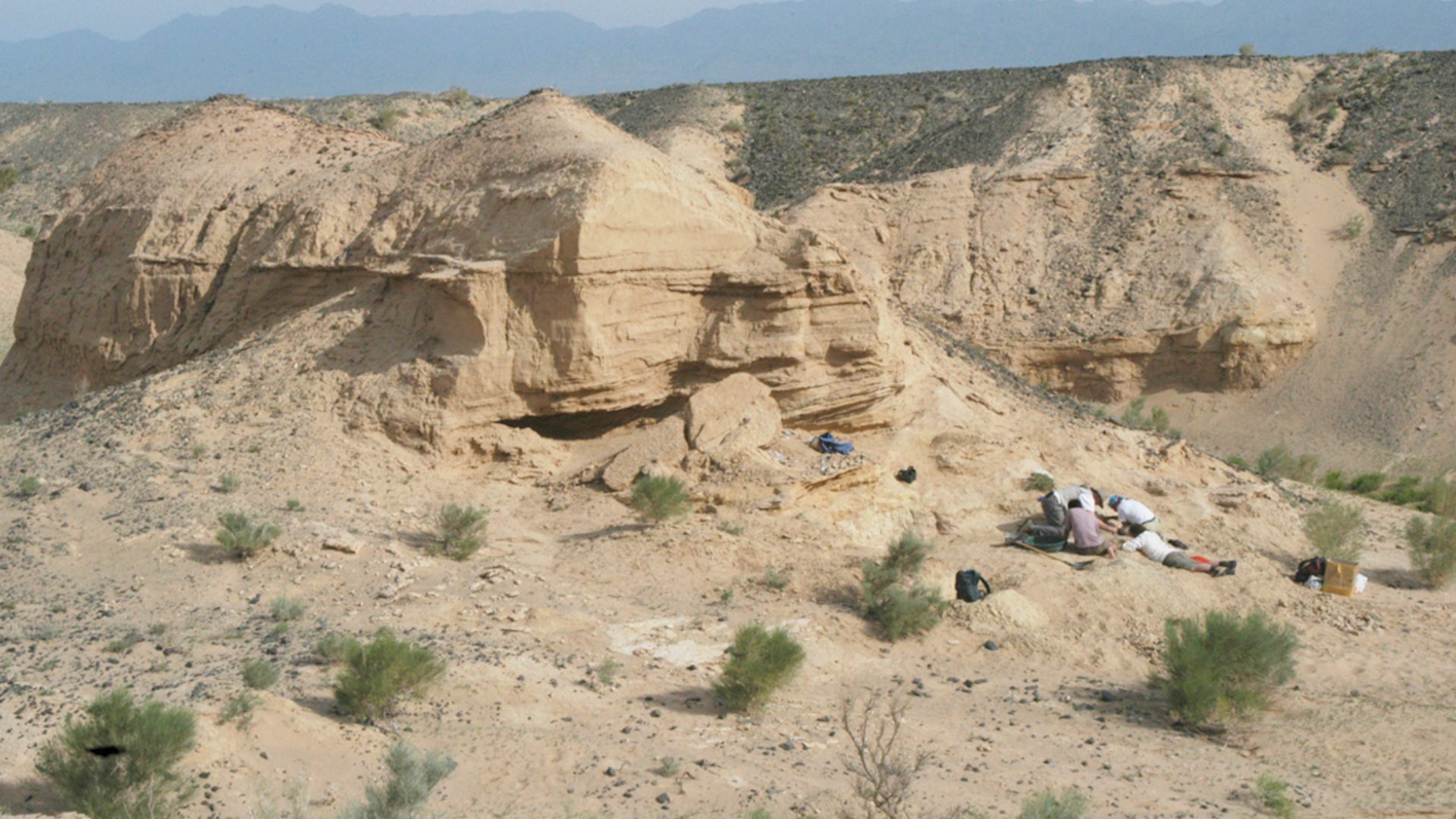 Image of field locality of Avimimus bonebed, showing regional sedimentological structures. Note people bottom right for scale.