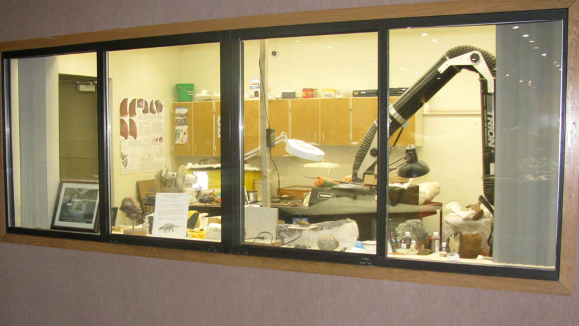 Fossil preparation laboratory at Dickinson Museum Center, Dickinson, ND.