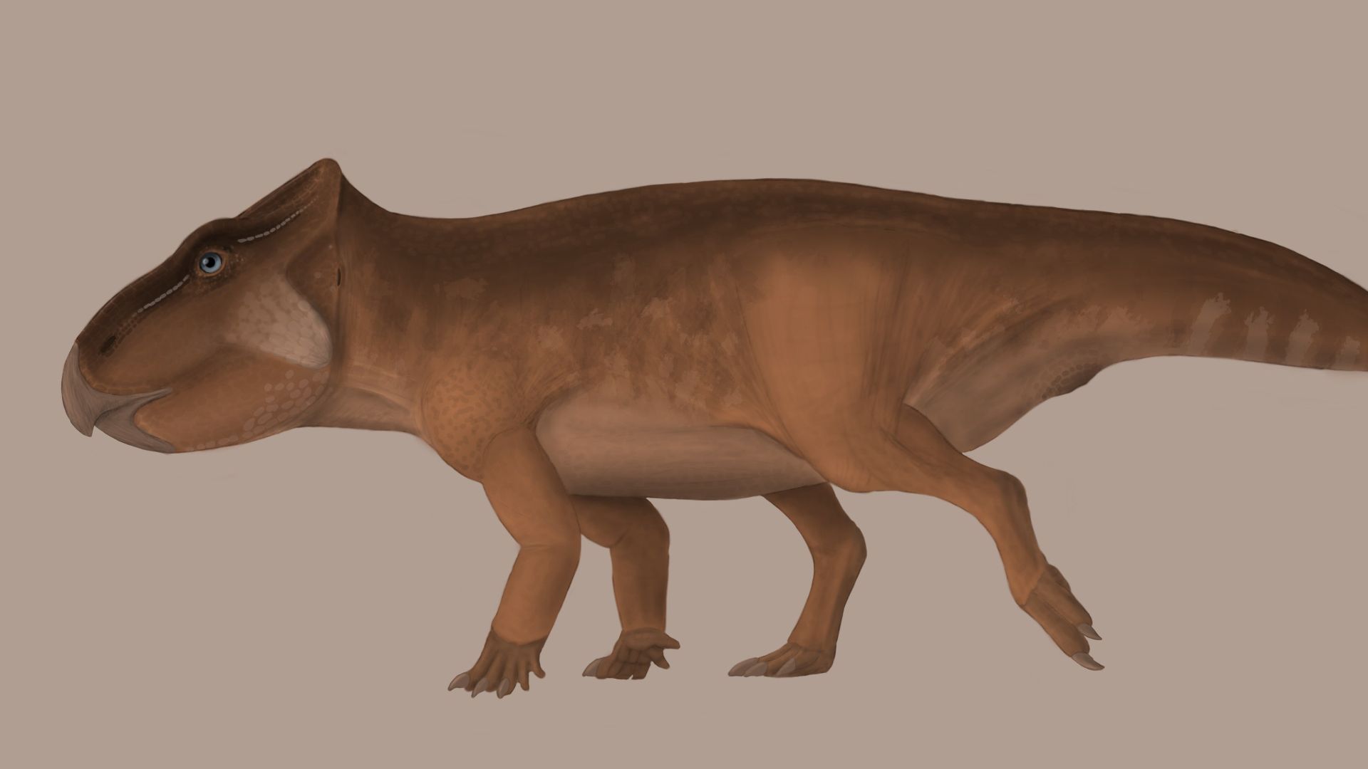 Ferrisaurus life restoration
