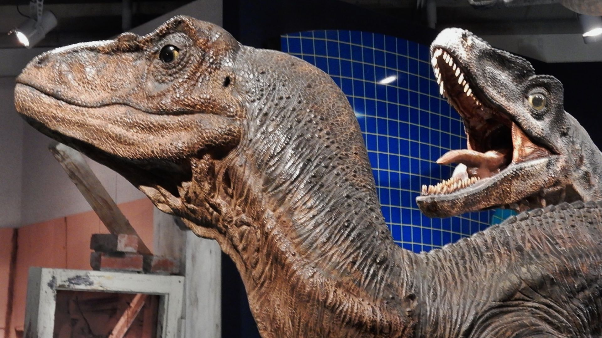 Twin Dinosaurs