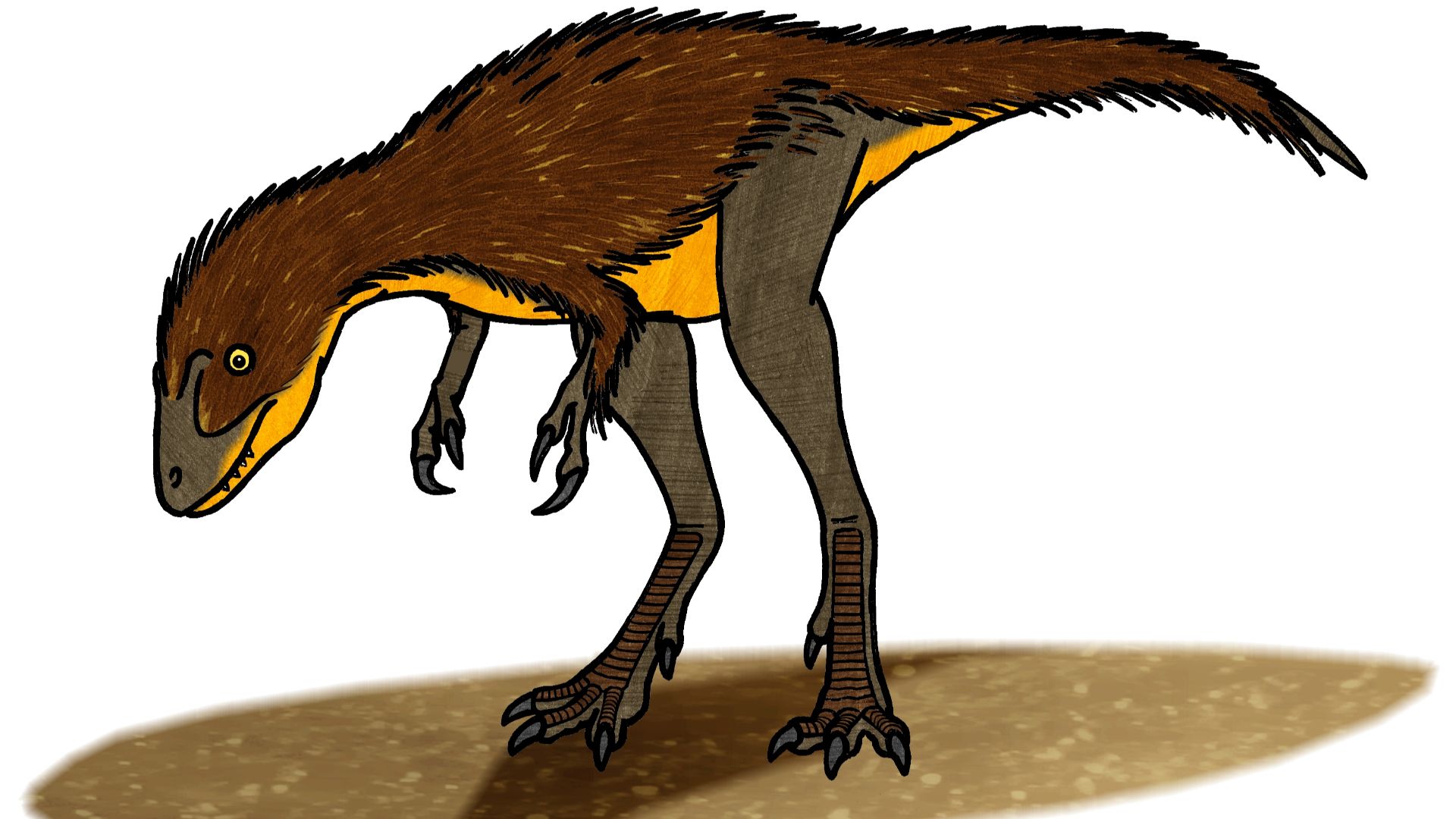 Illustration of a juvenile Tyrannosaurus rex.
Most of this restoration is mostly inspired from the models of 1-year old Tyrannosaurus from the exhibition