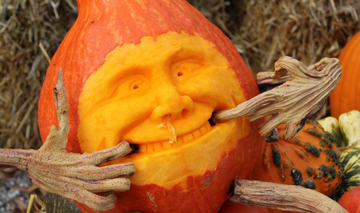 Carved pumpkin with a funny face among gourds, perfect for Halloween decoration
