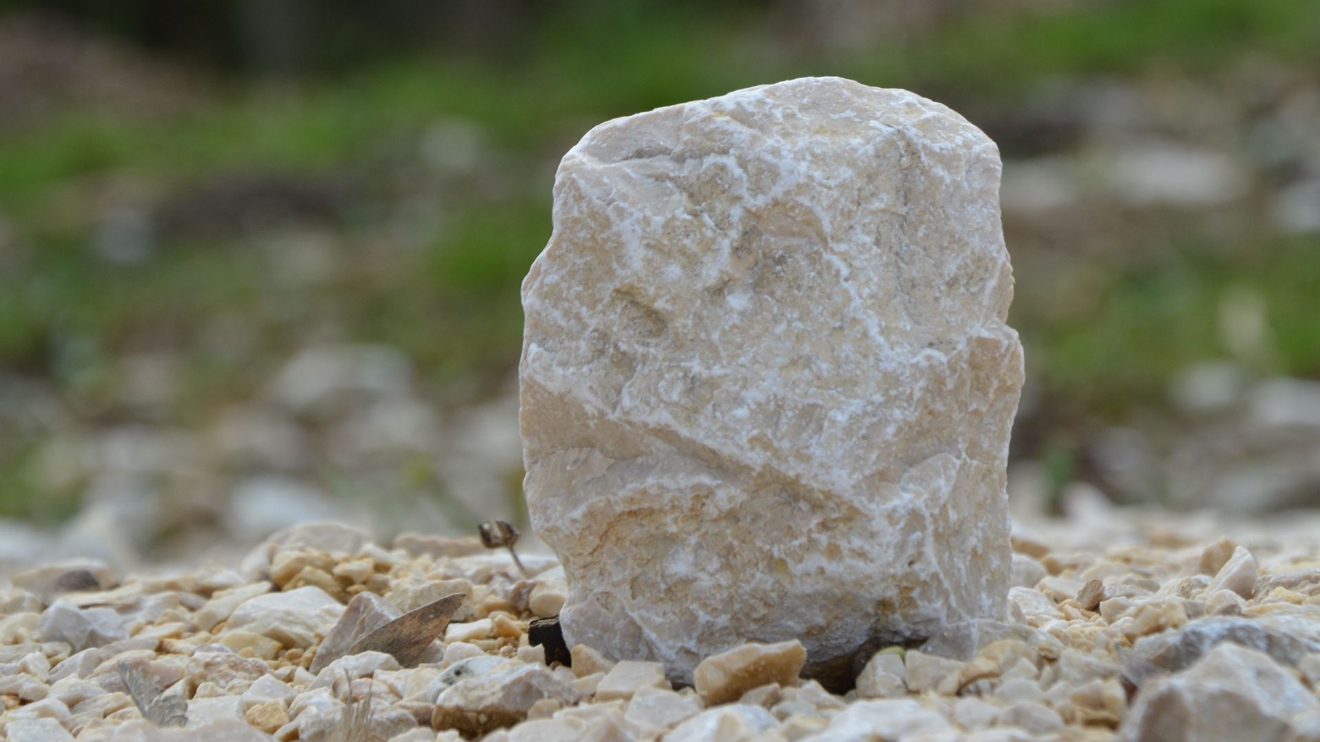 Close-up view of a natural stone on gravel with a forest backdrop.