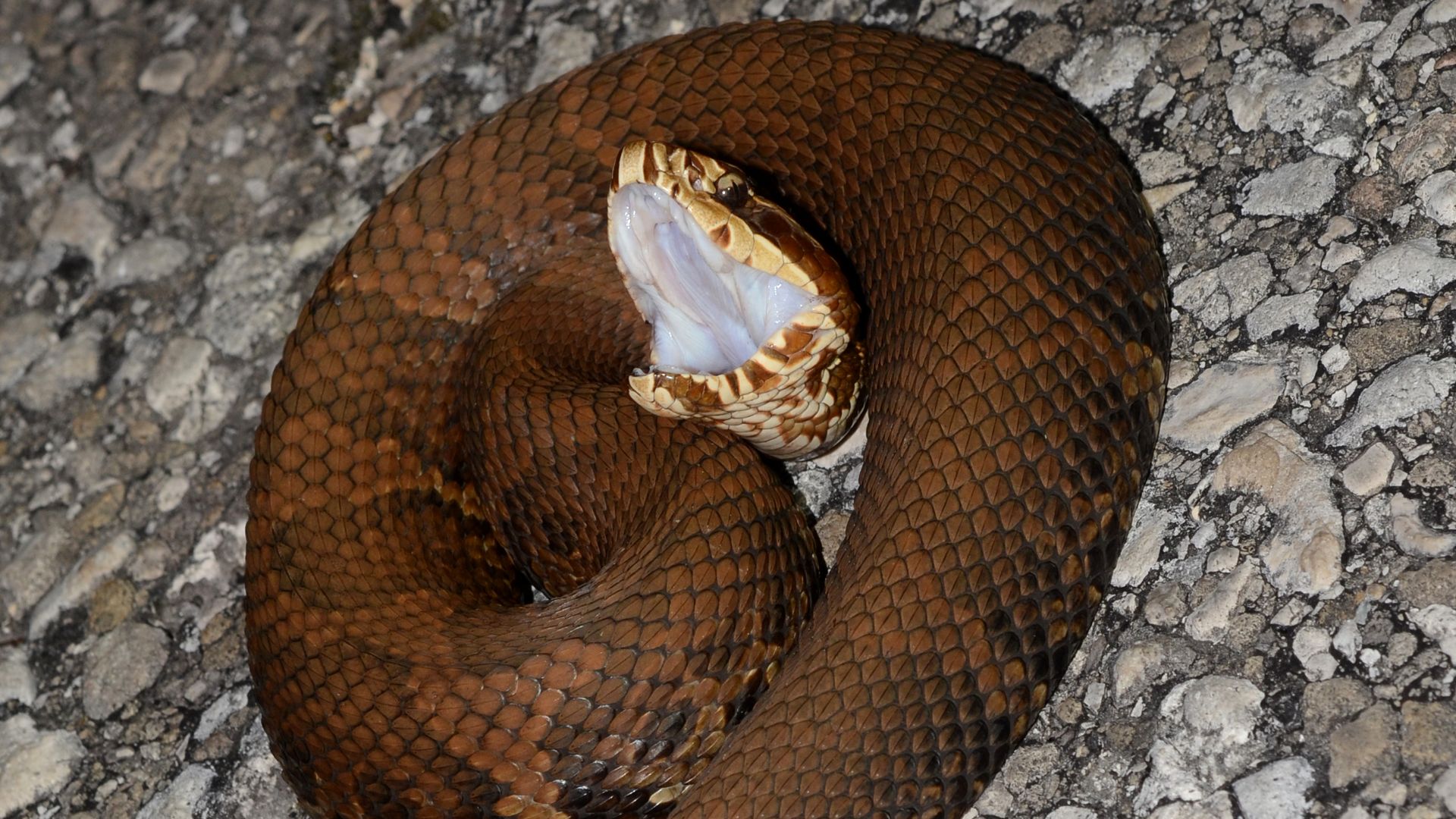 North-central Florida