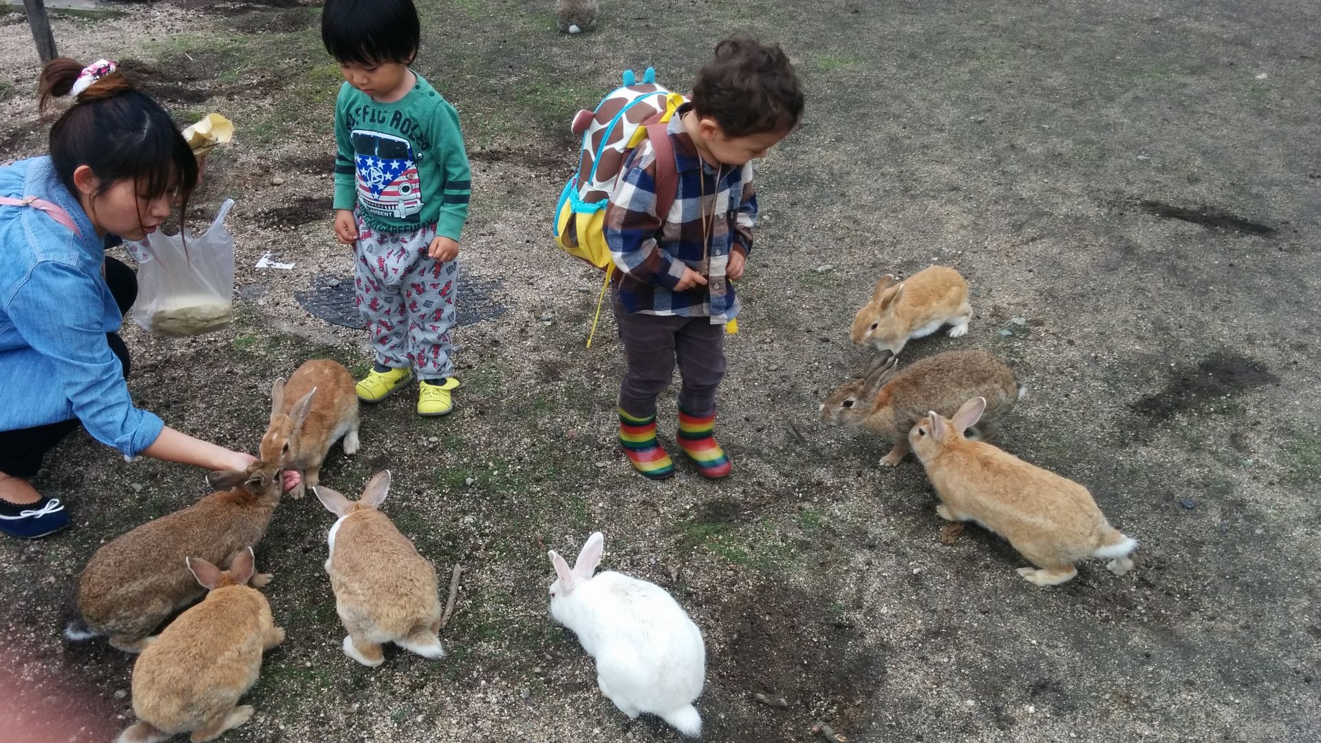 Ōkunoshima attracts many tourists who come to feed and get up close to the bunnies