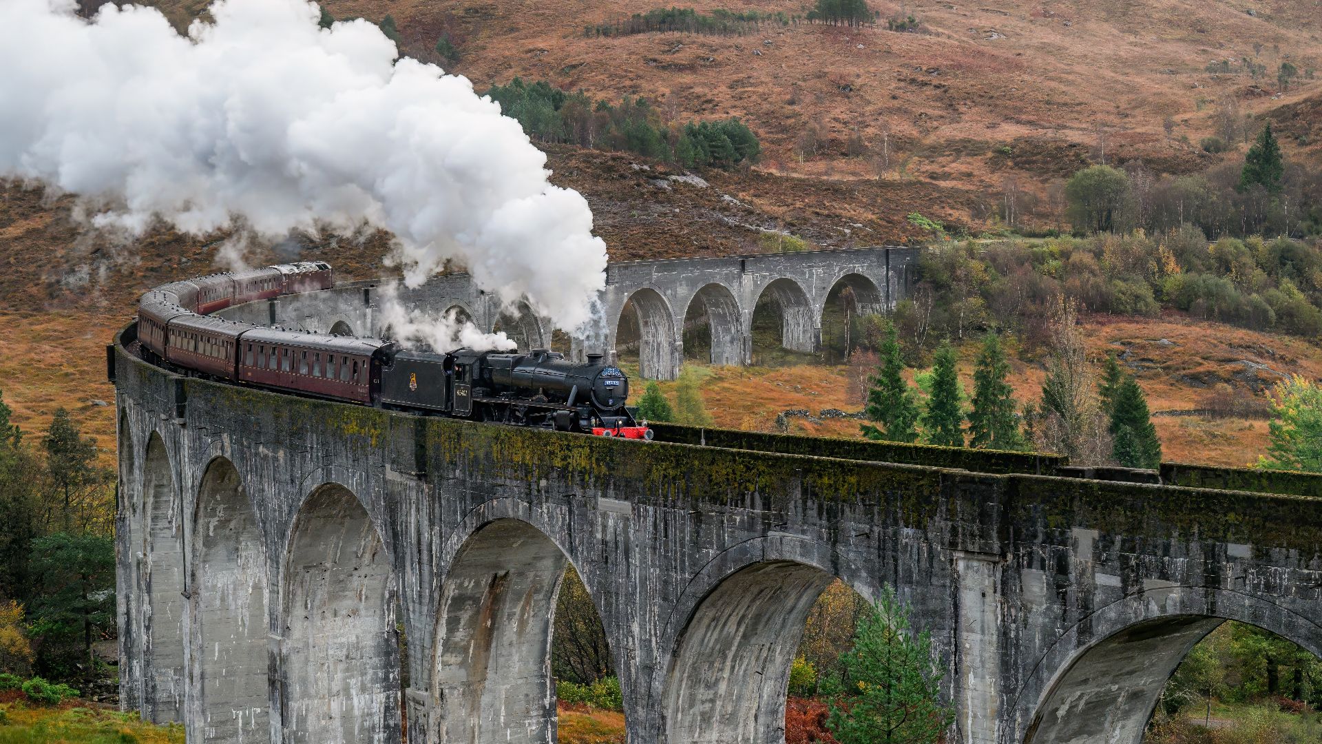 Stood in the mud with a huge crowd to watch the Jacobite Express cross the viaduct.