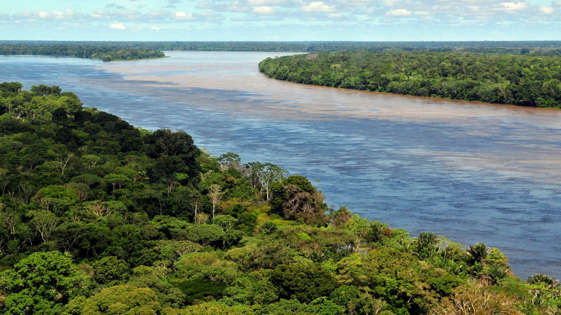 Pic by Neil Palmer (CIAT). Aerial view of the Amazon Rainforest, near Manaus, the capital of the Brazilian state of Amazonas. Please credit accordingly.