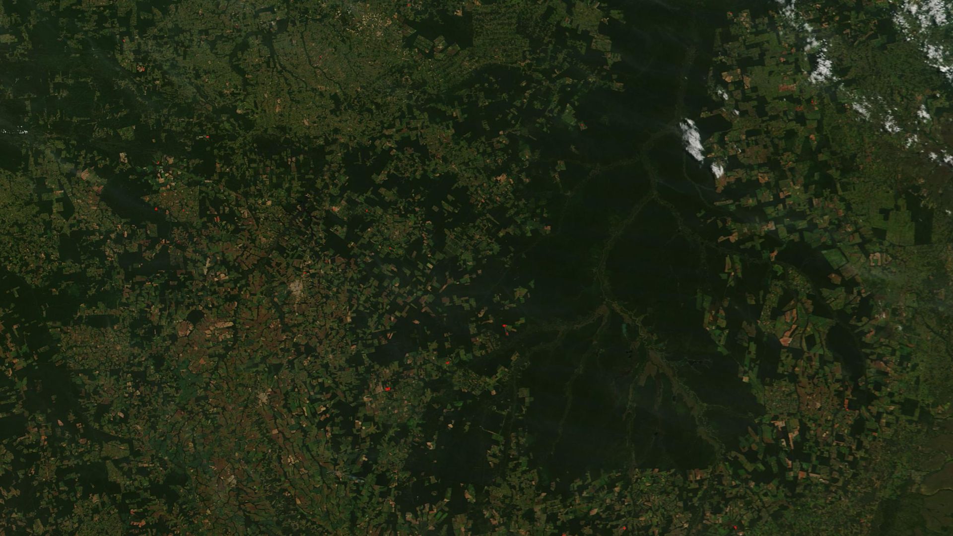 On the southern edge of the Amazon biome, in the northeast part of Mato Grosso state in Brazil, numerous rivers meet to form the large Xingu River. Approximately 2.64 million hectares of land surrounding that river were set aside in the early 1960s as a w