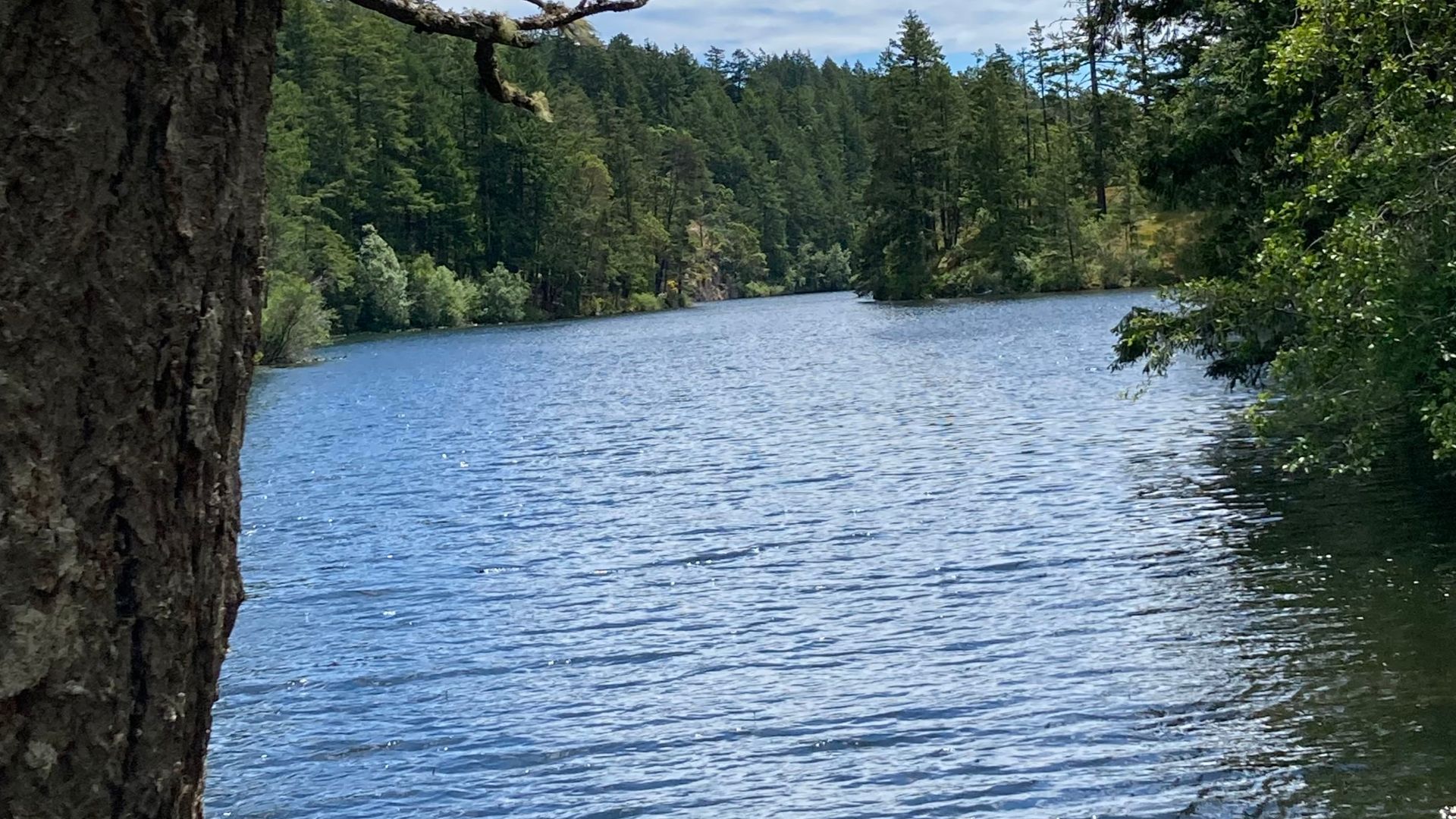 Imagen de Thetis Lake, ubicado en las afueras de Victoria, Canadá.