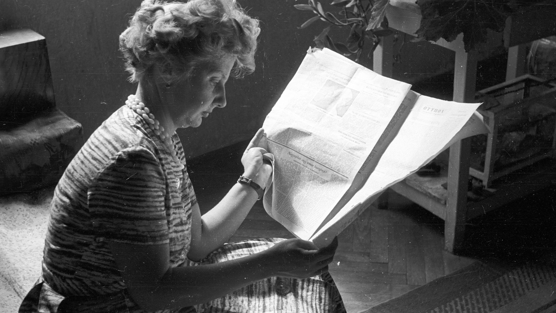 Location: Hungary
Tags: portrait, newspaper, reading
