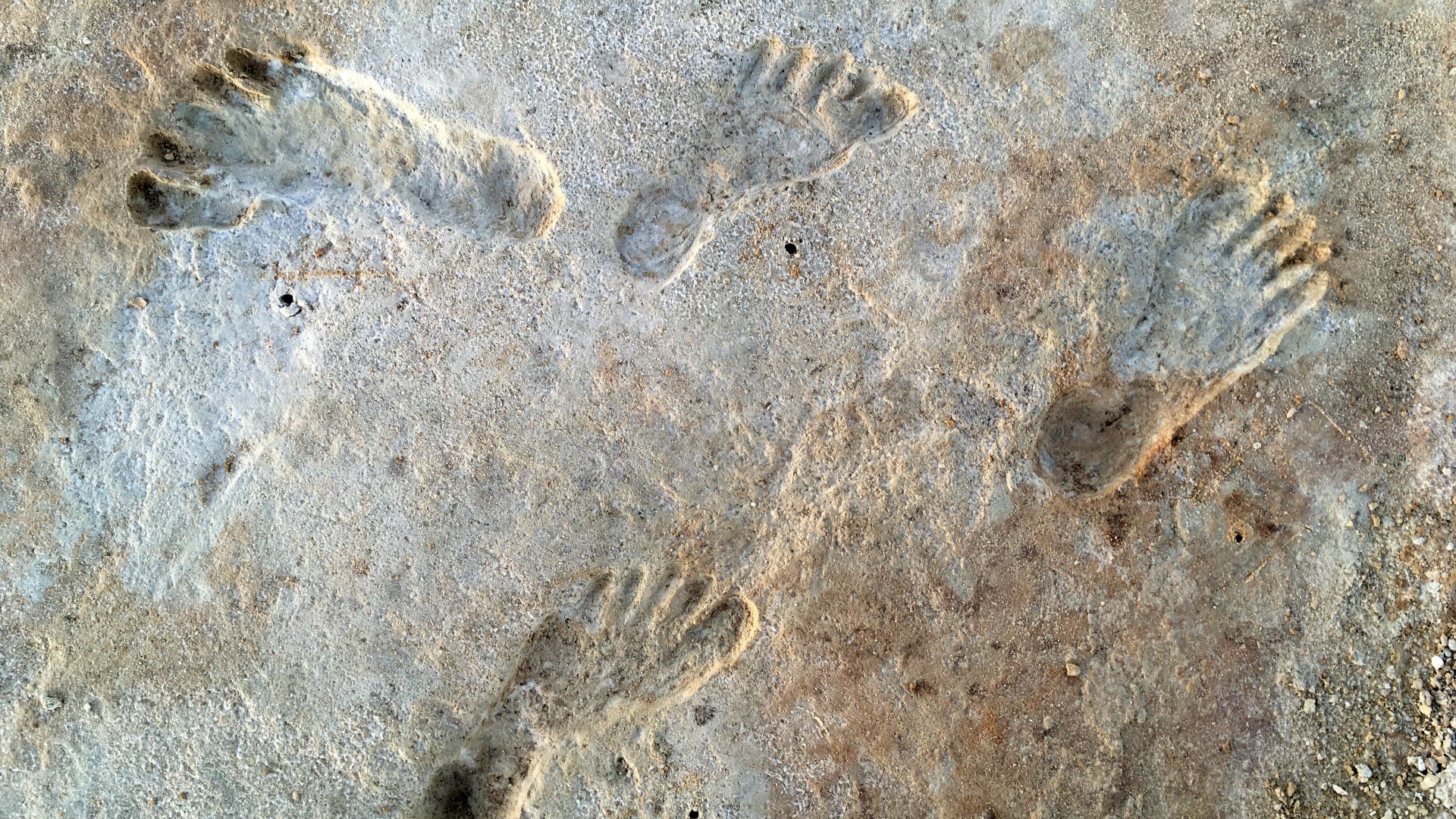 Human fossil tracks at White Sands New Mexico