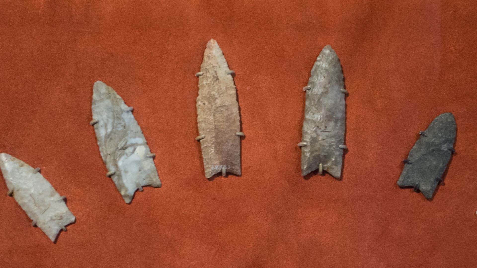 Clovis spearpoints on display at the Cleveland Museum of Natural History in Cleveland, Ohio.  Named for Clovis, New Mexico, where such uniquely designed spearpoints were first found by archeologists, these spearpoints date from 13,500 to 13,000 years ago.