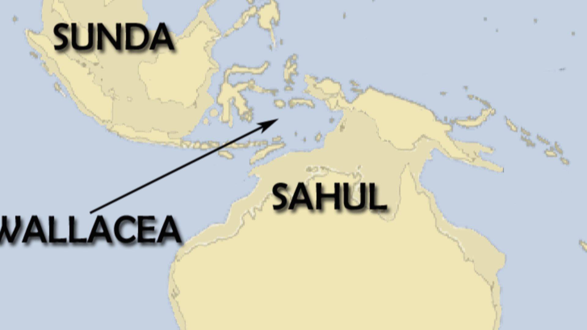 Sahul was the the strip of land that emerged during the last glacial maximum, when the sea was 100 metres under the present level, and which was linking New Guinea, Australia and Tasmania into a single land mass. The Sundaland was linking the south-wester