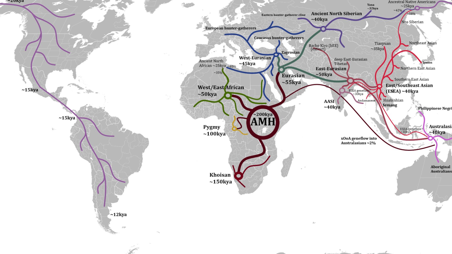 This map shows the human migration routes and proposed split/arrival times, after the Out-of-Africa event.