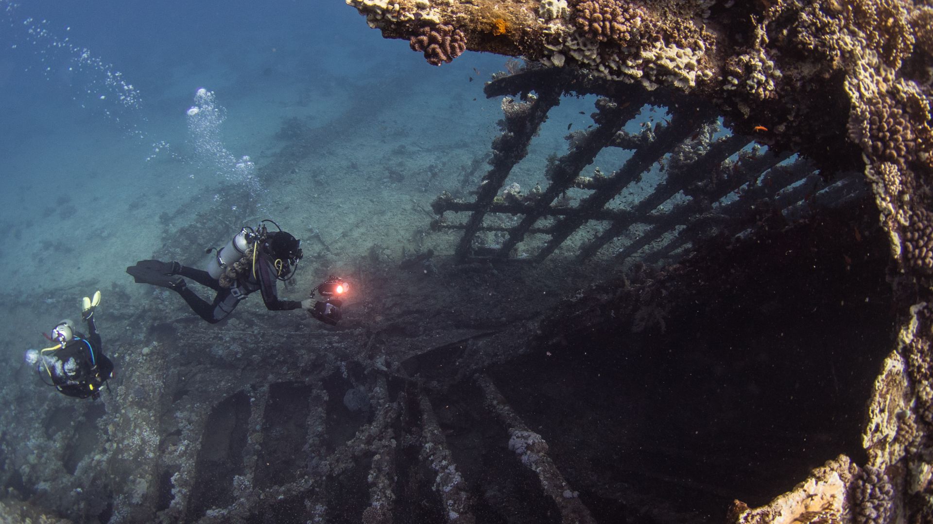Wreck of the SS Carnatic (built 1862) in the Red Sea, Egypt.