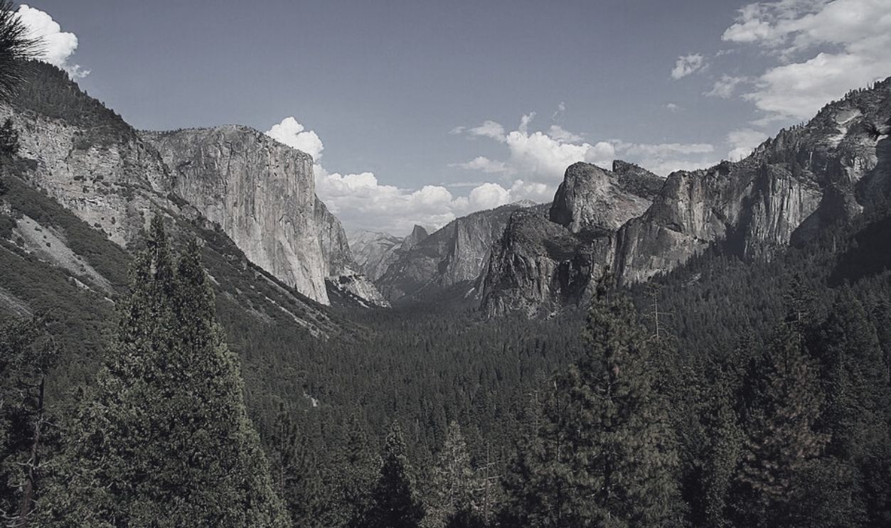 Yosemite Park