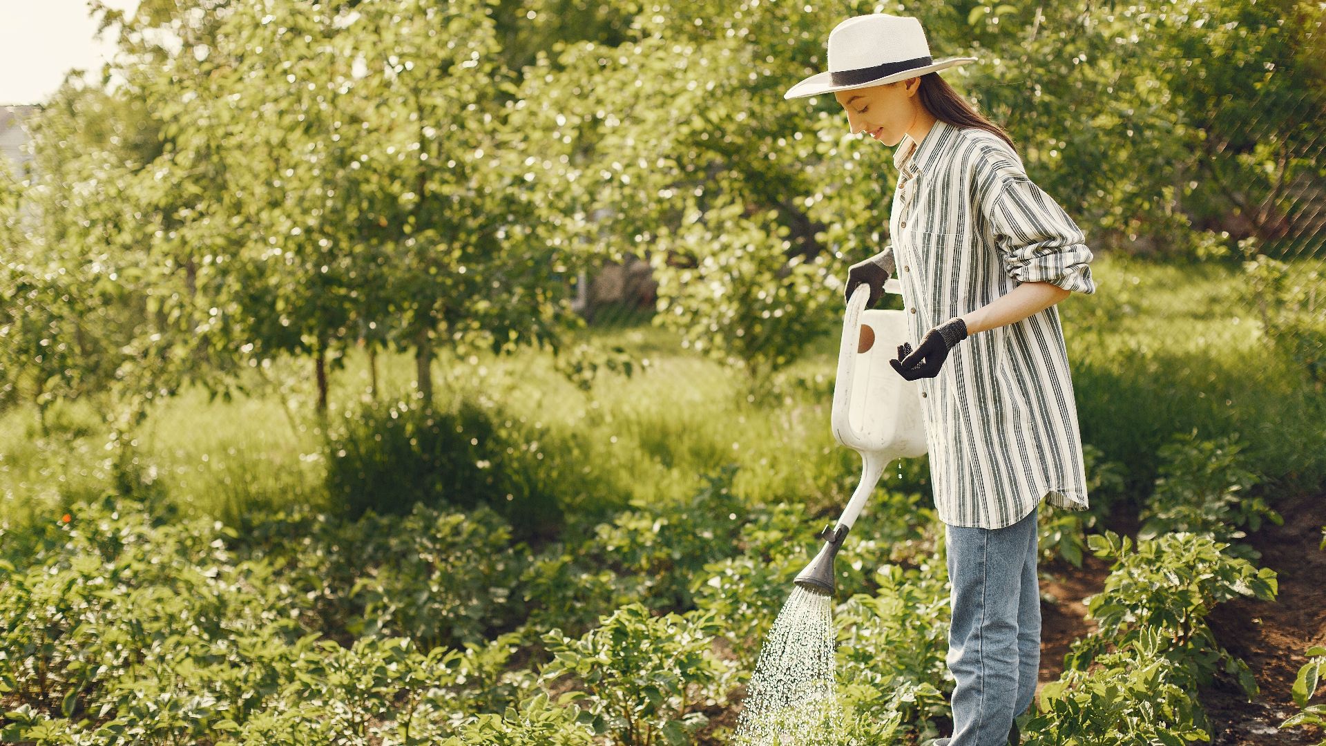 A woman waters plants in a sunny, vibrant garden, embodying home gardening and sustainability.