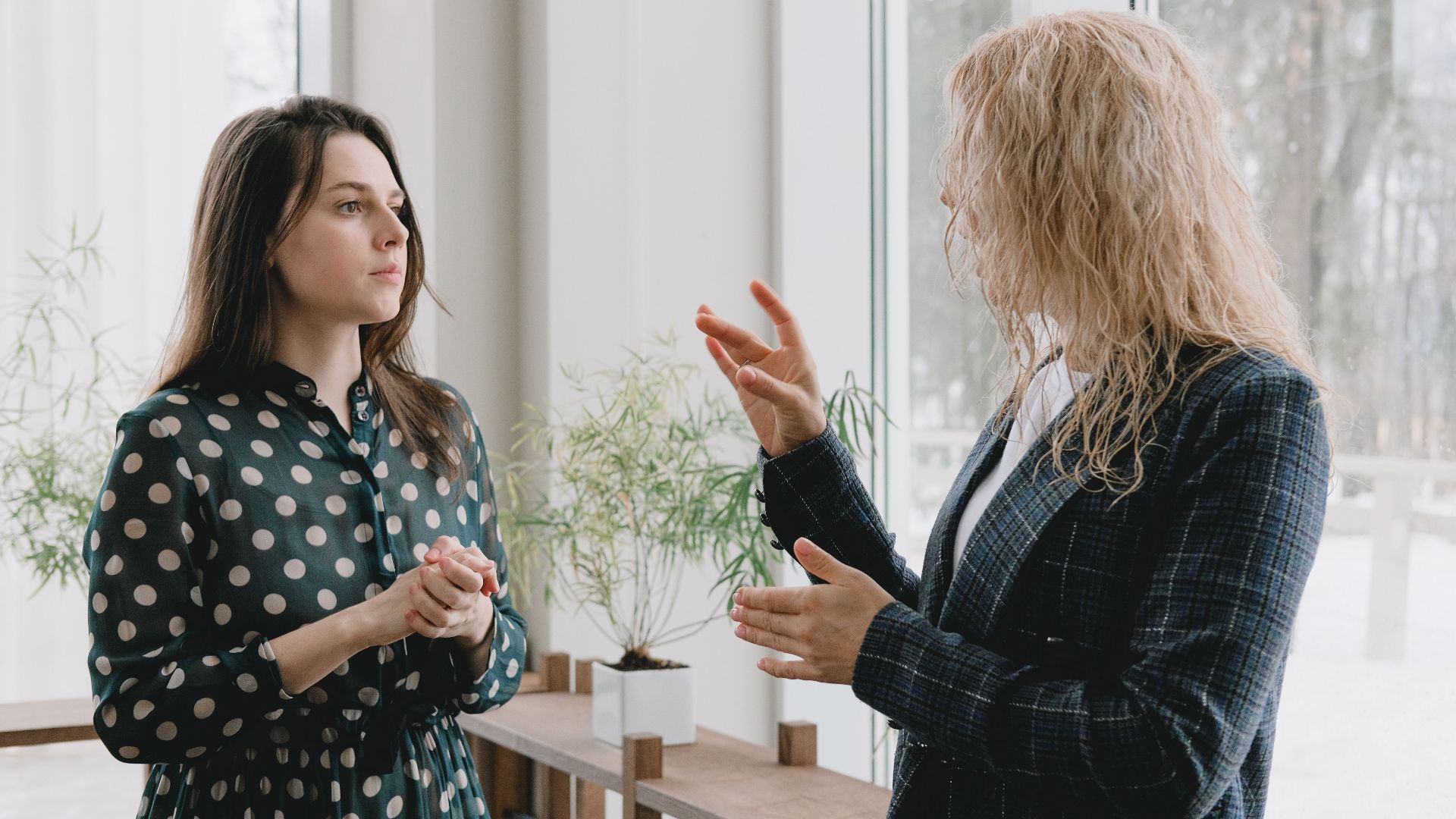 Concentrated young female colleagues in elegant outfits standing near window in light office and discussing project