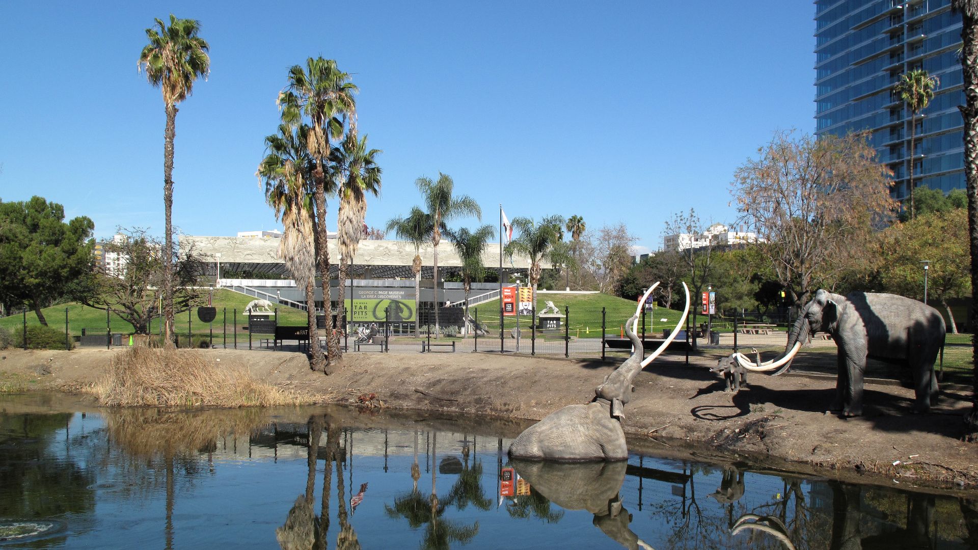 La Brea Tar Pits January 2021. Seen from Wilshire Blvd.