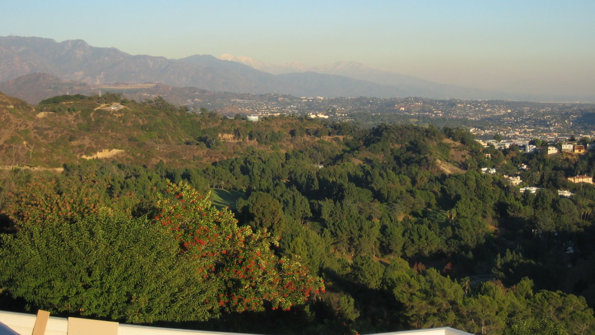 A view looking east of the south-eastern portion of Griffith Park in Los Angeles, California from Griffith Observatory. The Eagle Rock community of Los Angeles and the city of Pasadena can be seen in the distance in the center.