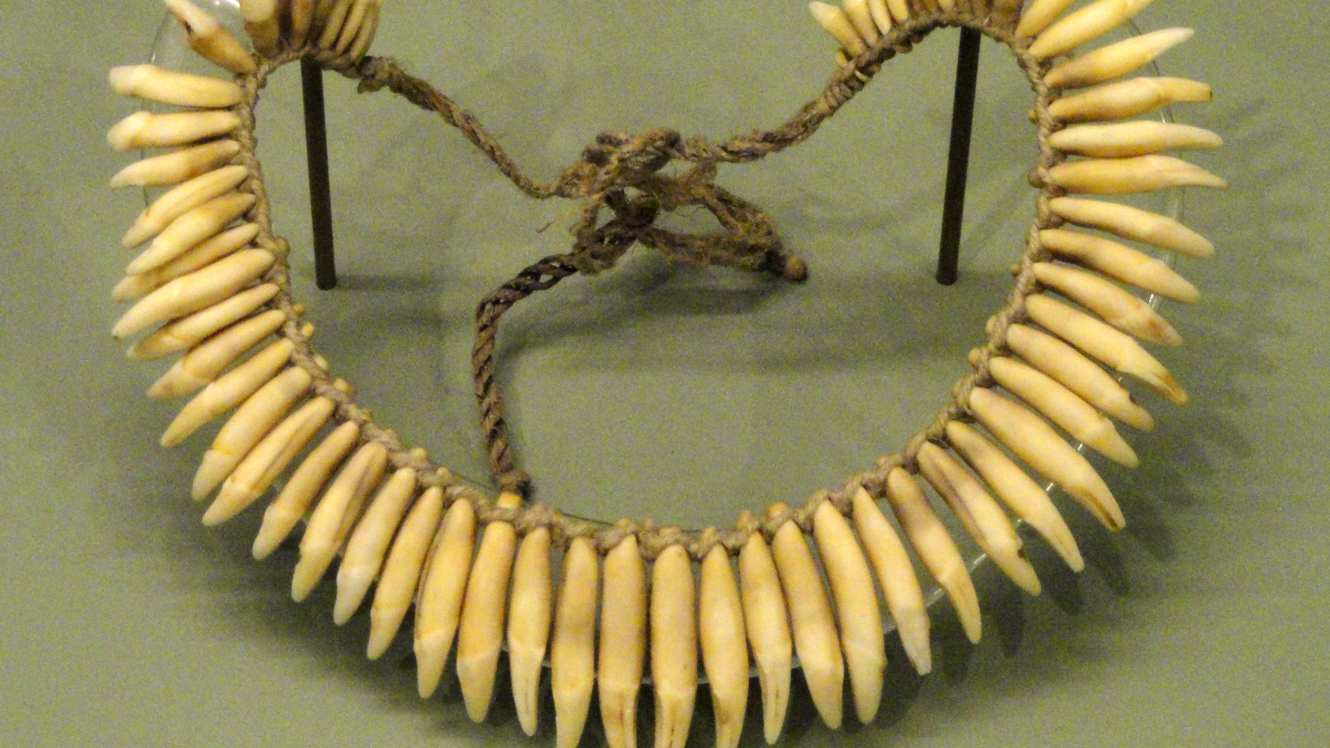 Exhibit in the South American collection of the American Museum of Natural History, Manhattan, New York City, New York, USA. Photography was permitted in the museum without restriction.