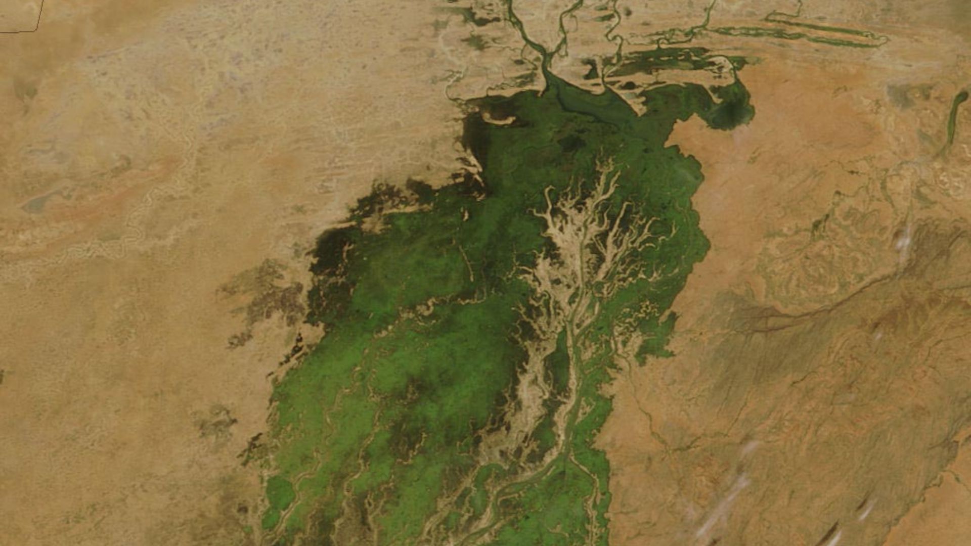 The MODIS on the Terra satellite took this picture of the Inland Niger Delta on November 11, 2007 shortly after the end of the rainy season when the landscape remained lush and green. This inland delta is a complex combination of river channels, lakes, sw