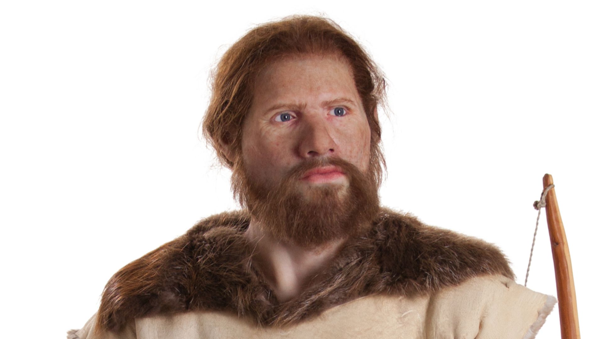 Reconstructions of a Corded Ware man from the Netherlands and a Corded Ware woman from Poland
