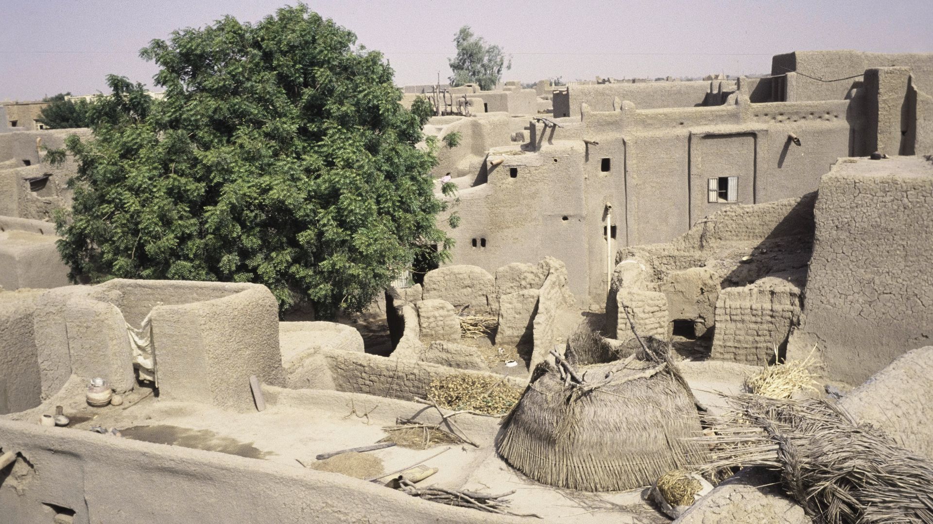 An overview of the roofs of a neighborhood of low mud houses with a tree. A thatched hut with pots on a flat roof. Downstairs are low mud brick walls, which have not been smoothed over with clay like the other walls.
