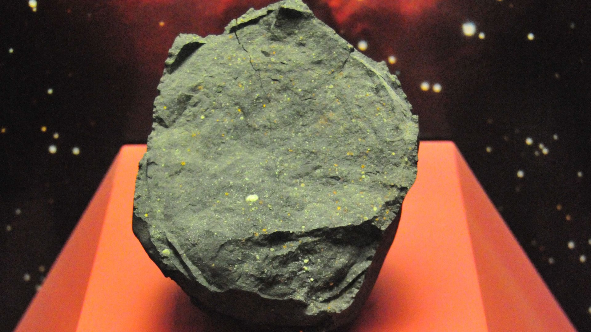 Murchison meteorite specimen at the National Museum of Natural History (Washington); a fragment of a meteorite that landed in Murchison, Australia, in 1969.

(Carbonaceous chondrite)