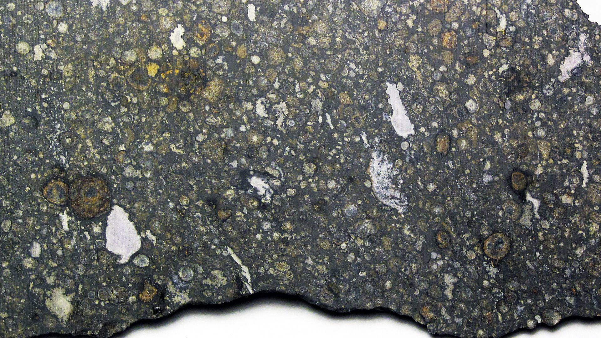 Carbonaceous chondrite - slice of the Allende Meteorite from Mexico.
Carbonaceous chondrites are dark gray to blackish-colored chondrite meteorites with a relatively carbon-rich matrix.  The first large sampling of carbonaceous chondrites available to met