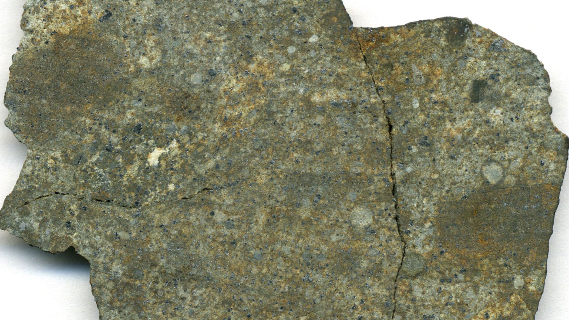 Ordinary chondrite (7.7 cm across) - NWA 869 Meteorite from northwestern Africa.  Published analysis indicates that this is an L5 ordinary chondrite (“L” means low total iron content; “6” refers to an intensely recrystallized chondritic rock, such that mo