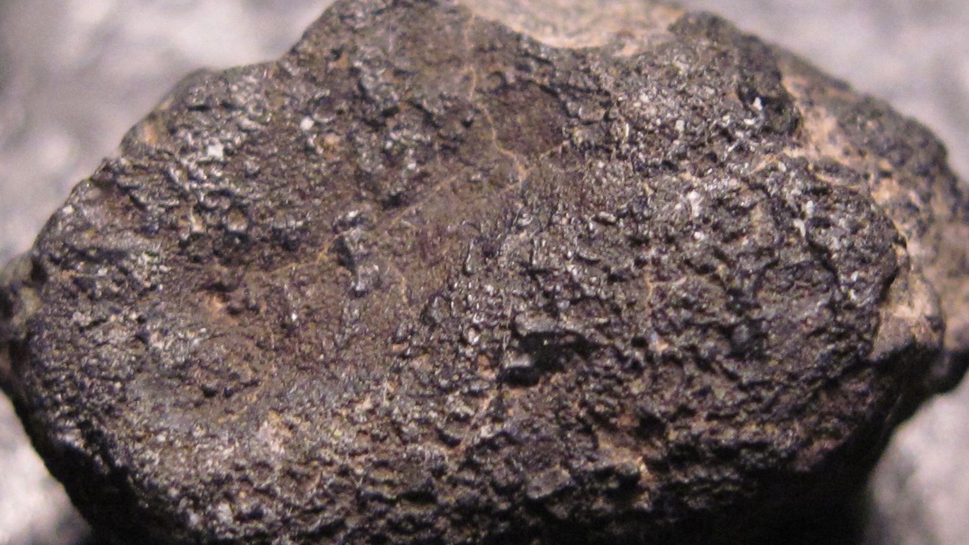 This crusted individual is a carbonaceous chondrite (CV3) from the famous witnessed fall of 1969 in Pueblito de Allende, Chihuahua, Mexico.