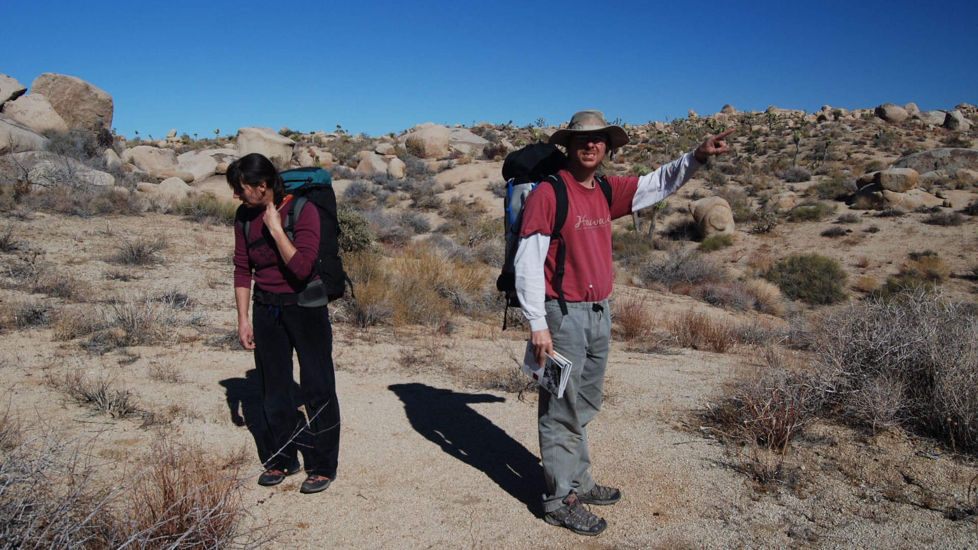 Joshua Tree National Park:
Lost somewhere around Geology Tour Road East Side area of Queen Valley.