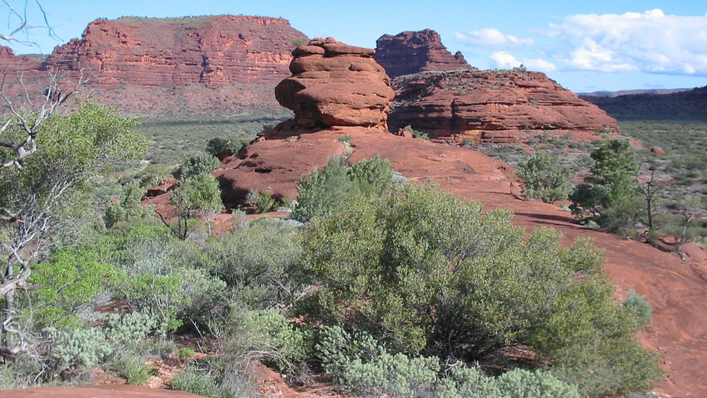 This image showcases the landscape of Finke Gorge National Park in Australia
