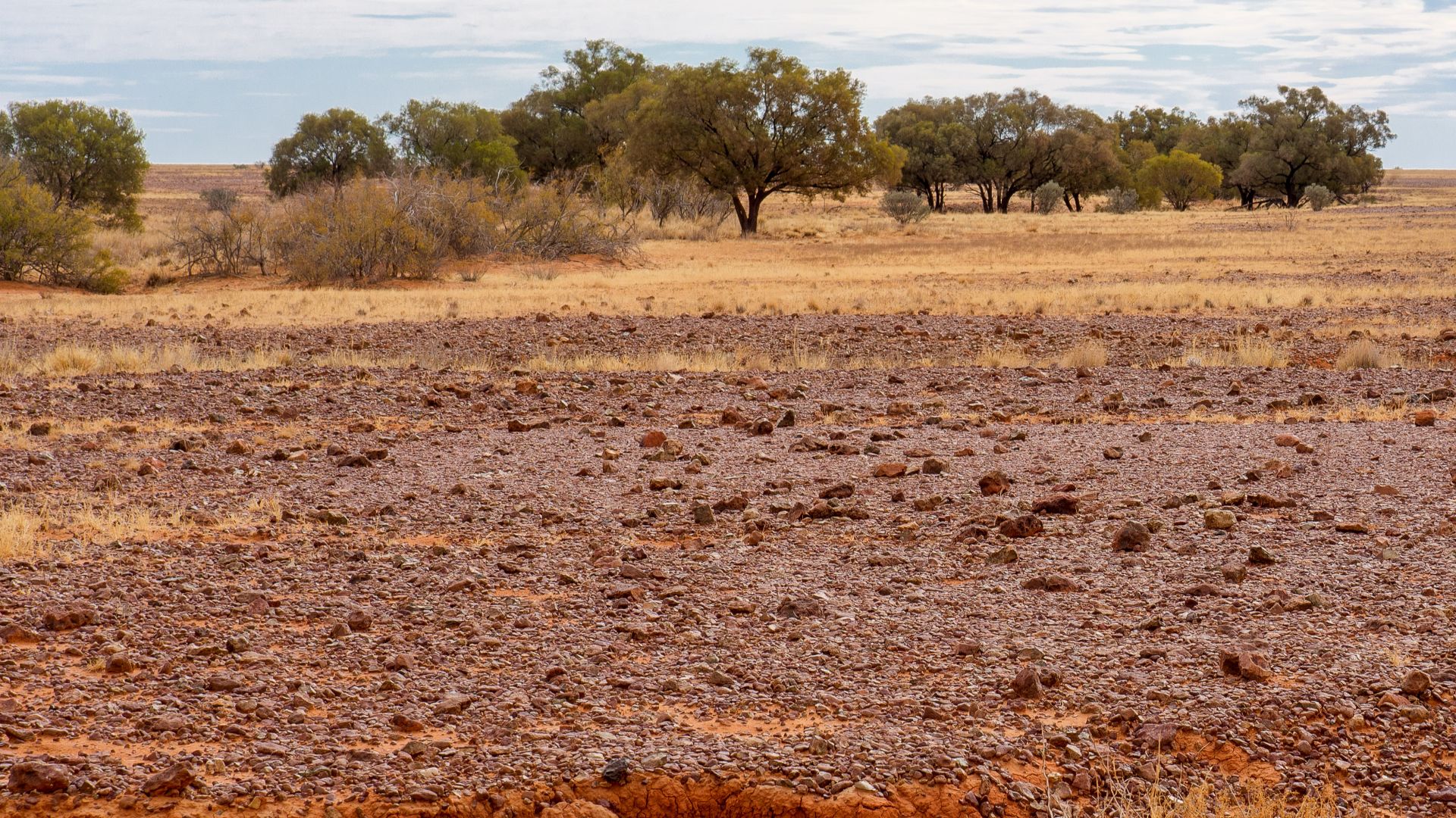 Gibber country in Diamantina National Park, Queensland, Australia. Photography by David Elliott (24/07/2015)