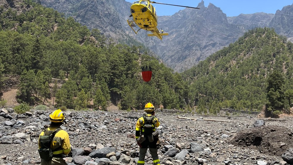 Portrait Photo of Wildland firefighters watching turning helicopter at wildfire