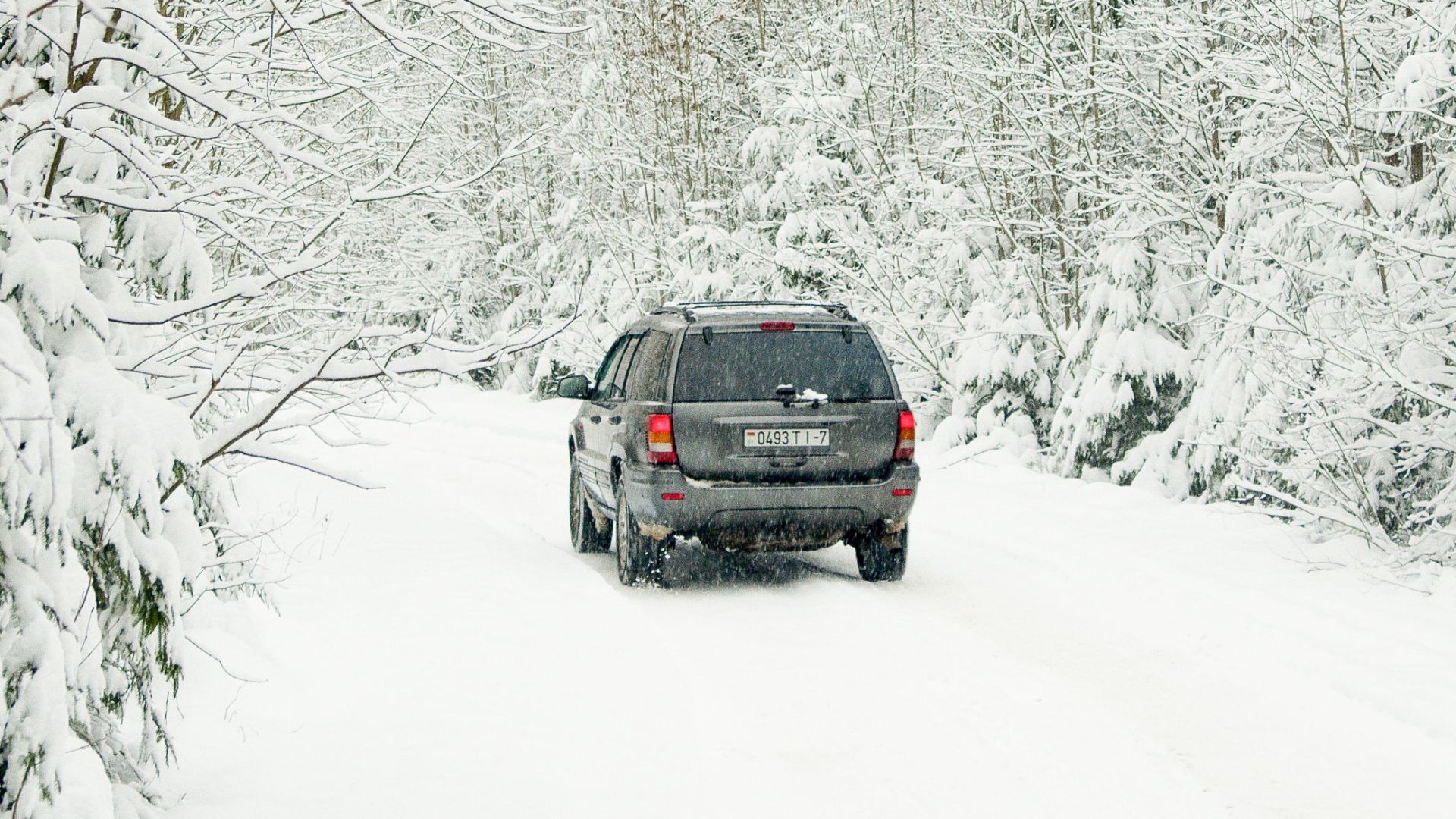 SUV driving on a snowy forest road amidst frosty trees, highlighting winter's serene beauty.