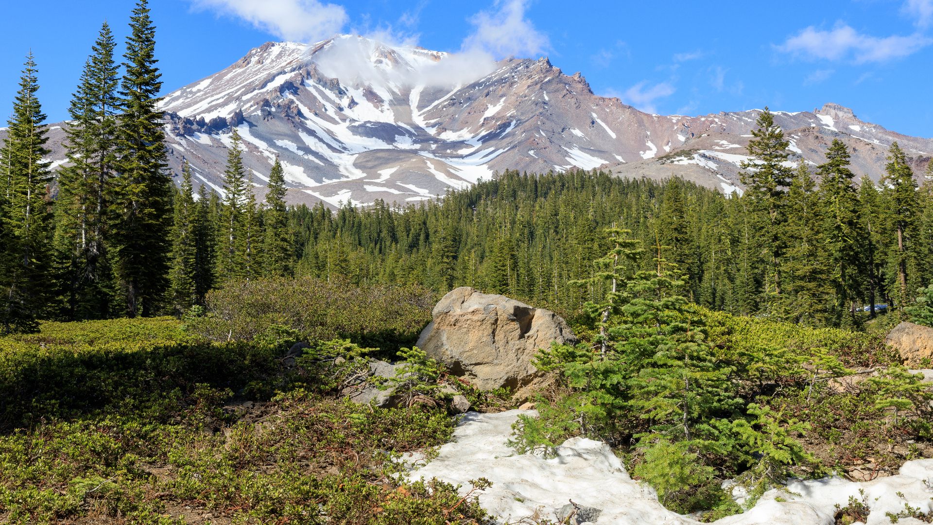 Bunny Flat Trailhead lies at 6,950 feet in elevation on the south side of Mount Shasta. Since the Everitt Memorial Highway leading is plowed up to Bunny Flat throughout the winter, the trailhead is used year-round. For mountain climbers it is the most pop